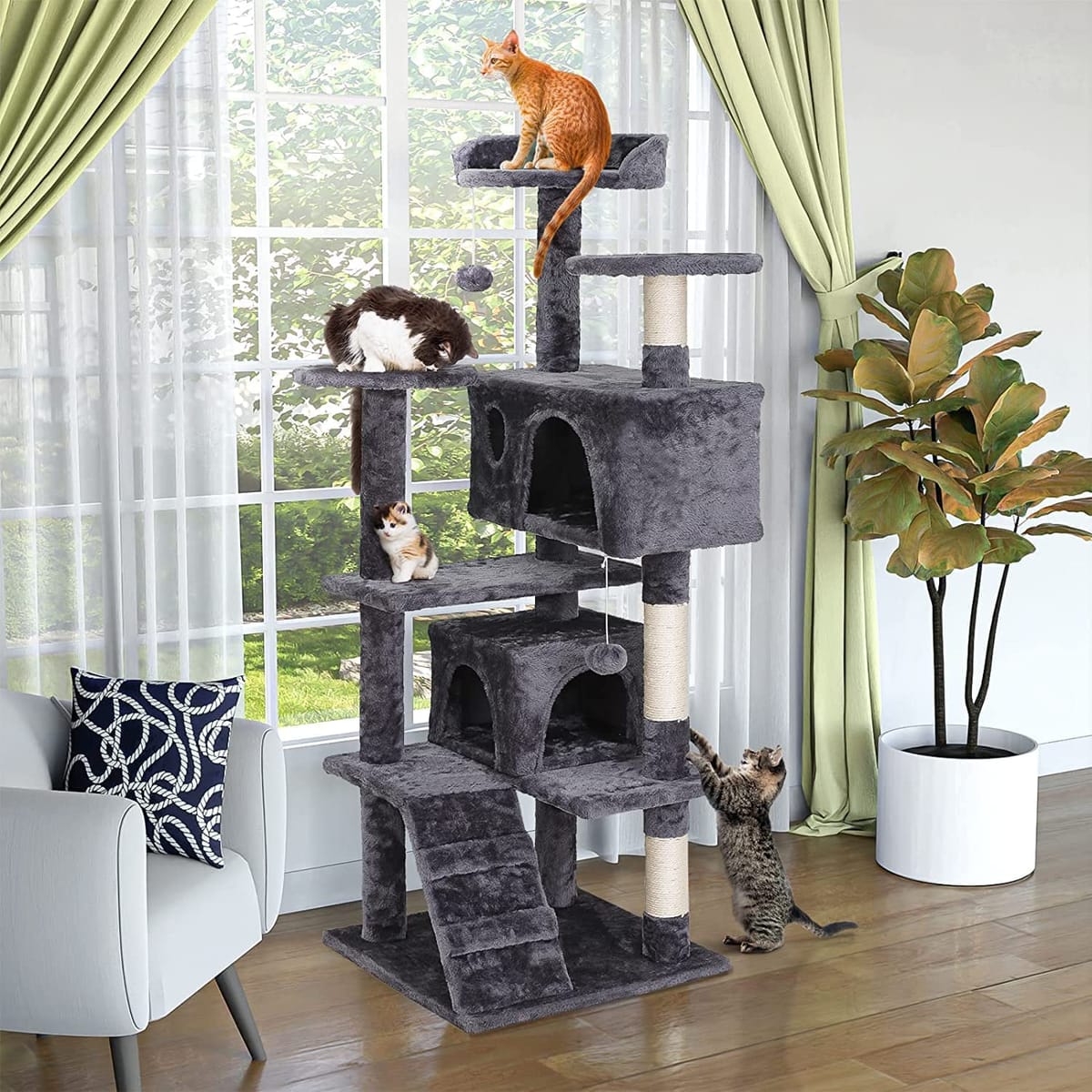 cat tree for multiple cats