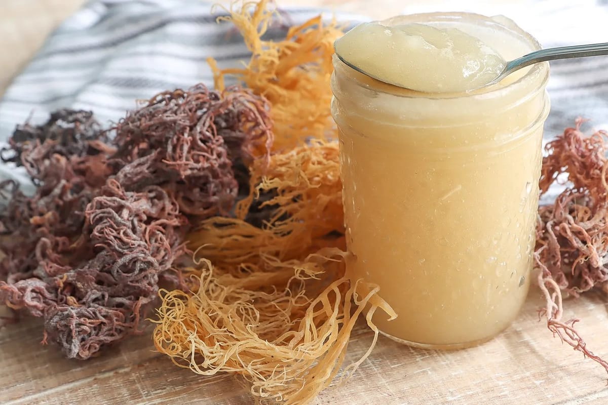 How to Make Sea Moss: A Step-by-Step Guide to Unlocking Oceanic Wonders