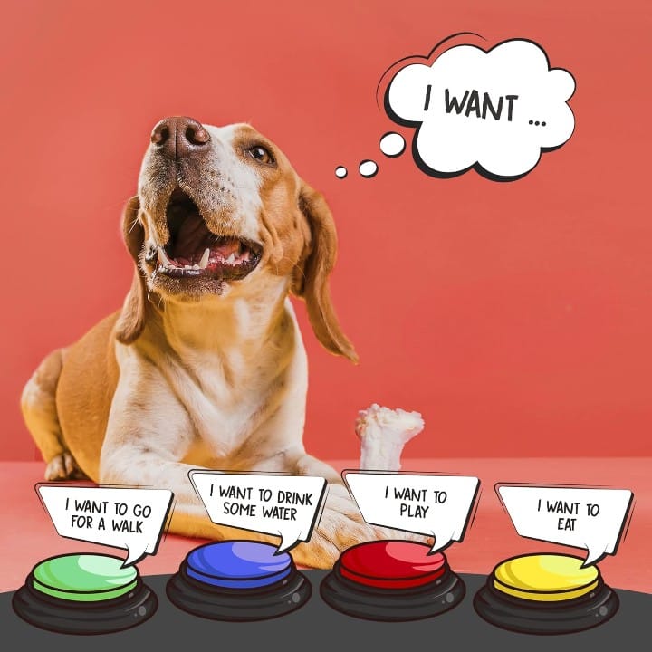 How to Train Dogs to Use Buttons