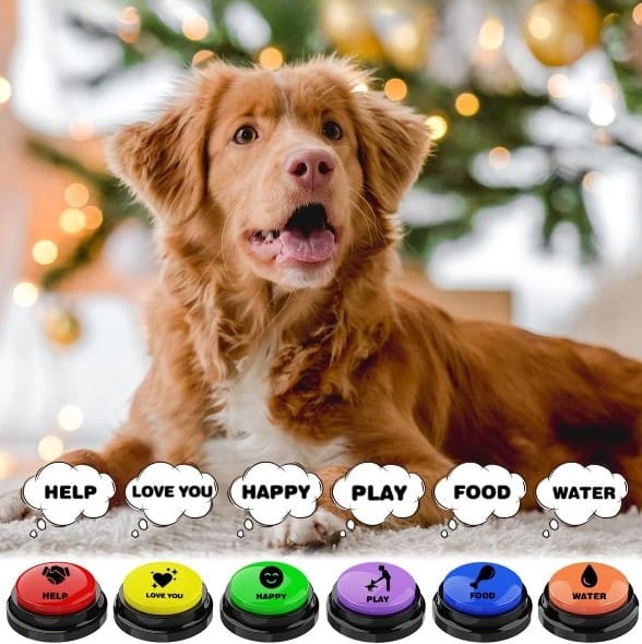 Dog Button Training