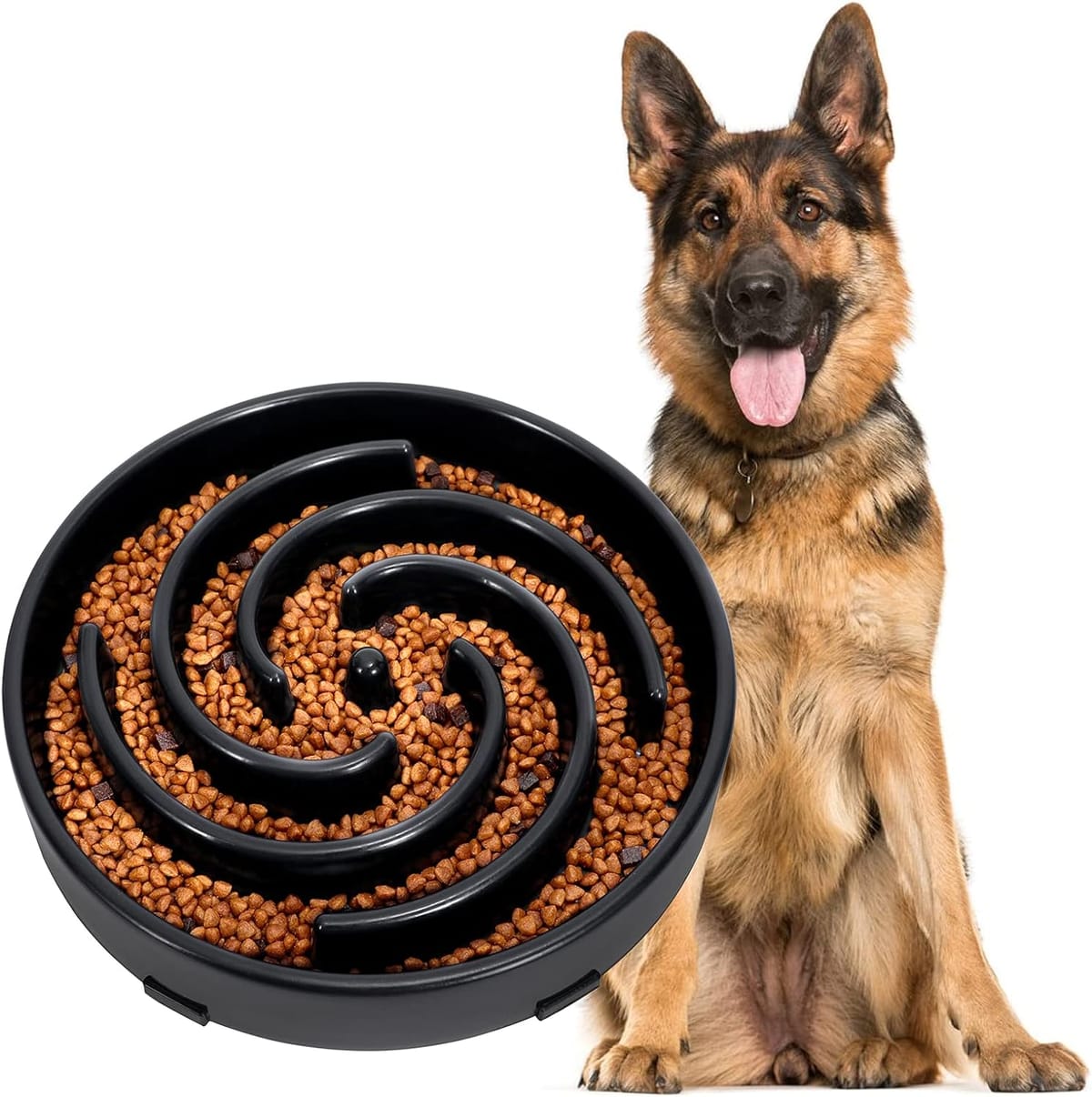 Are Slow Feeders Good for Dogs