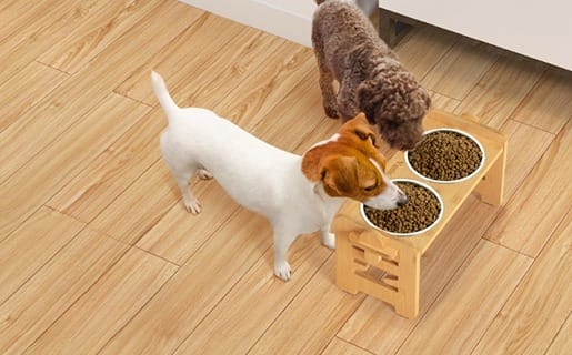 Elevated Dog Bowl Benefits