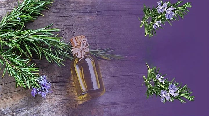 Is Rosemary Oil Good for Hair