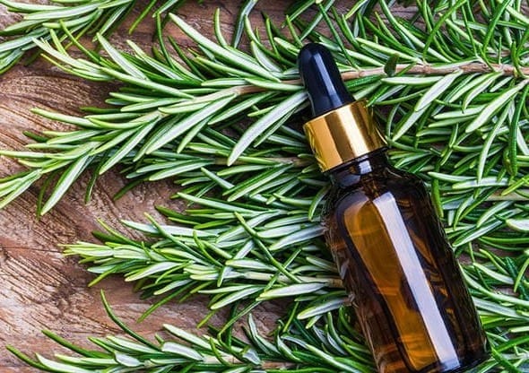 How to Use Rosemary Oil for Hair Growth