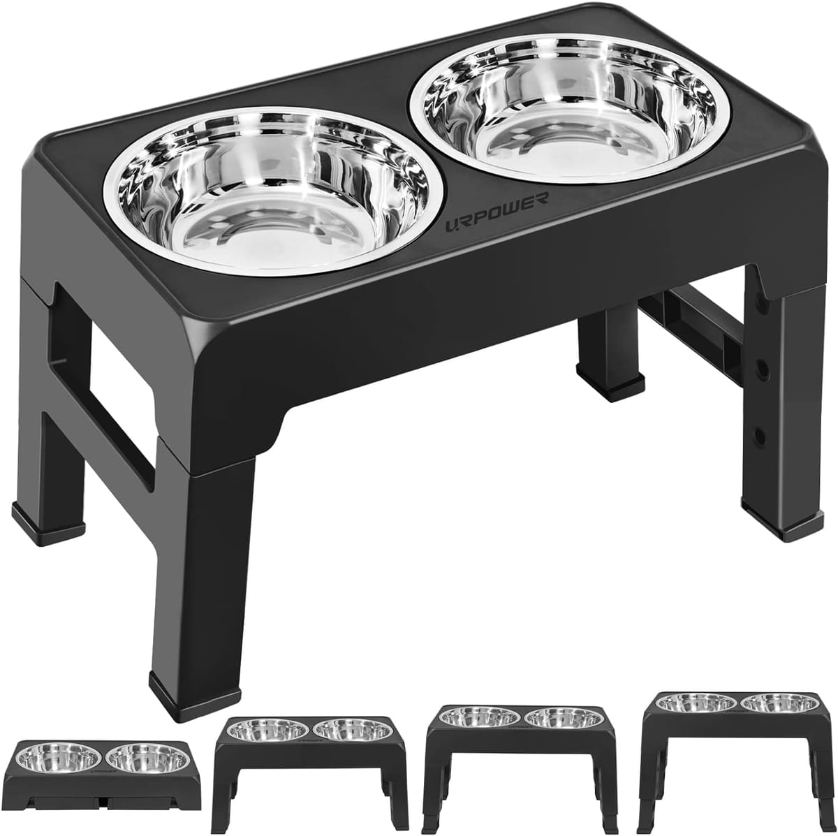 Is It Better for Dog Bowls to Be Elevated