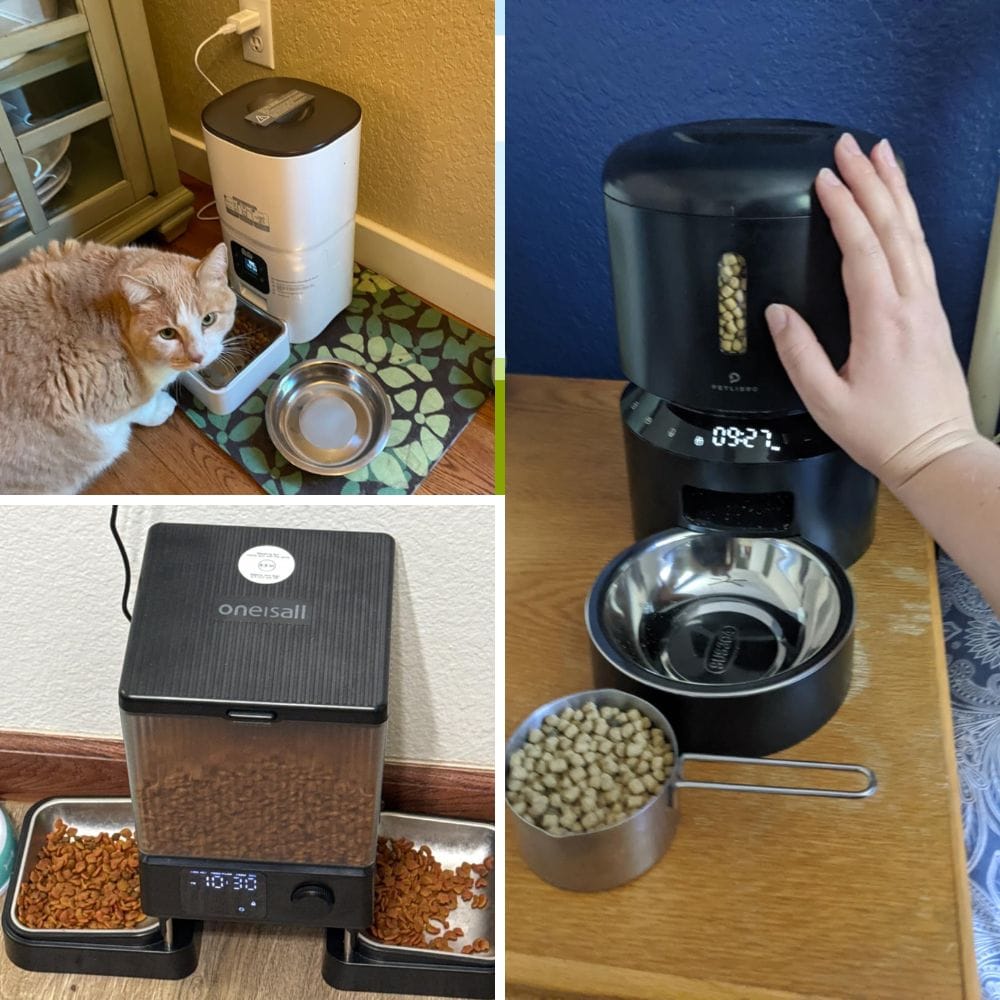 Smart Feeder