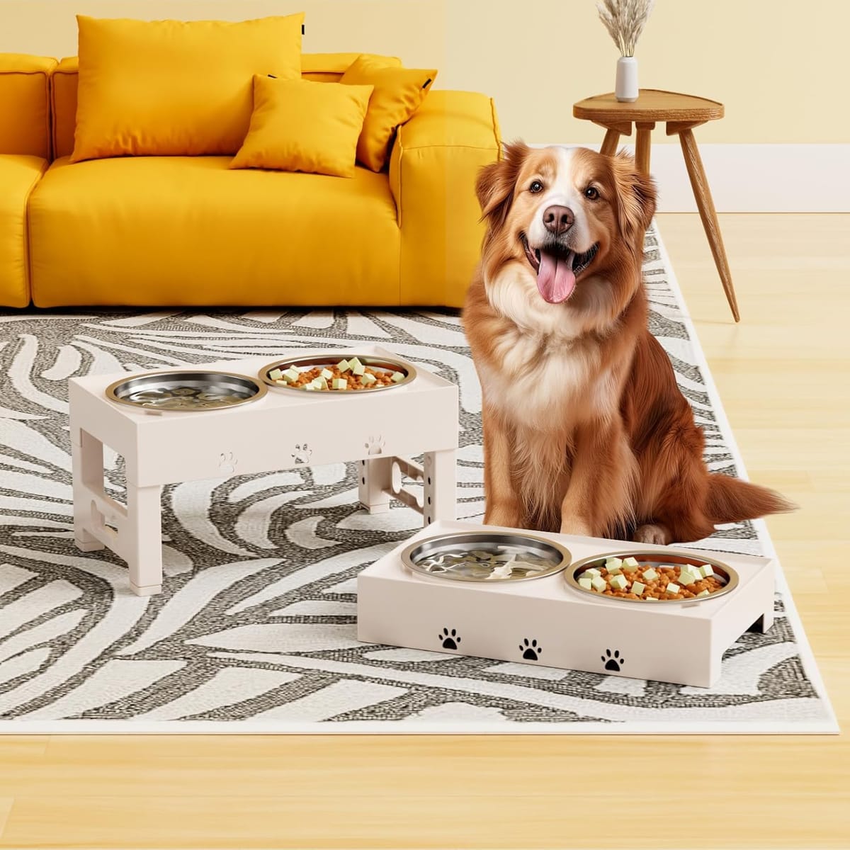 What is The Science Behind Elevated Dog Bowls