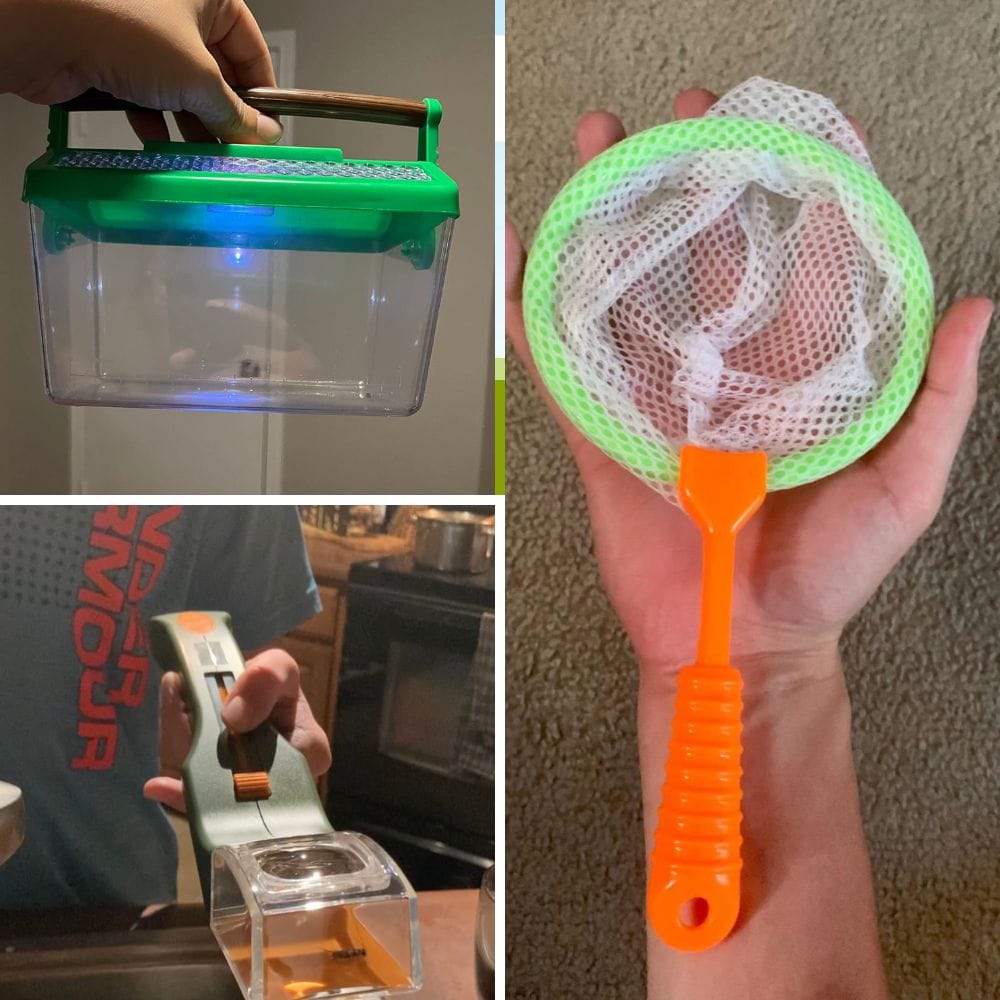 gifts for bug lovers