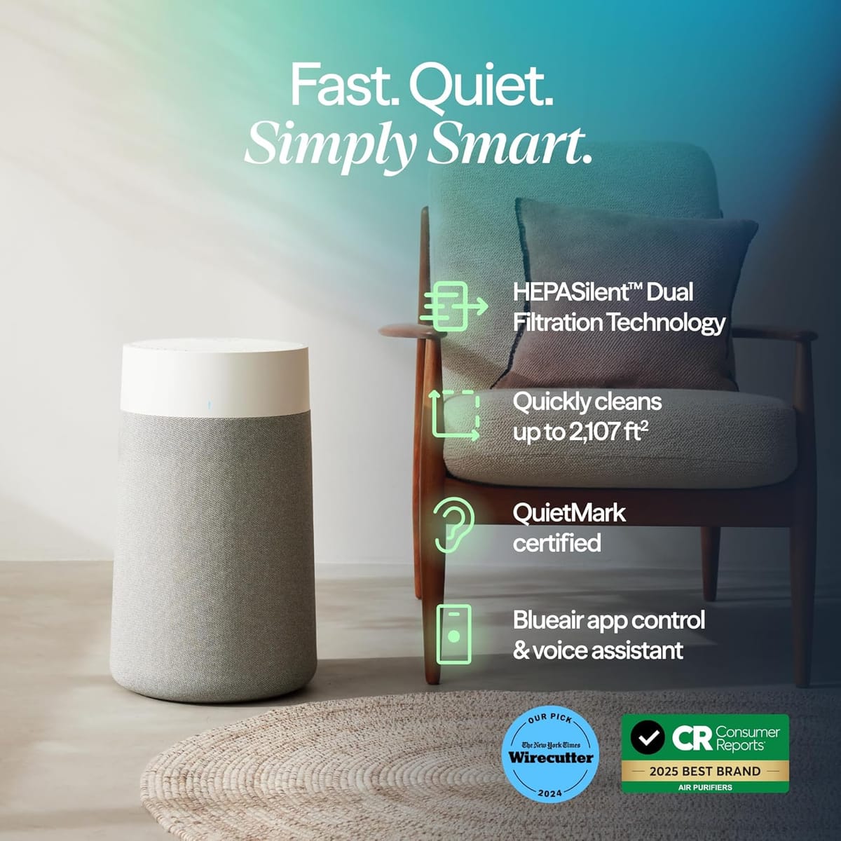 BLUEAIR Air Purifier