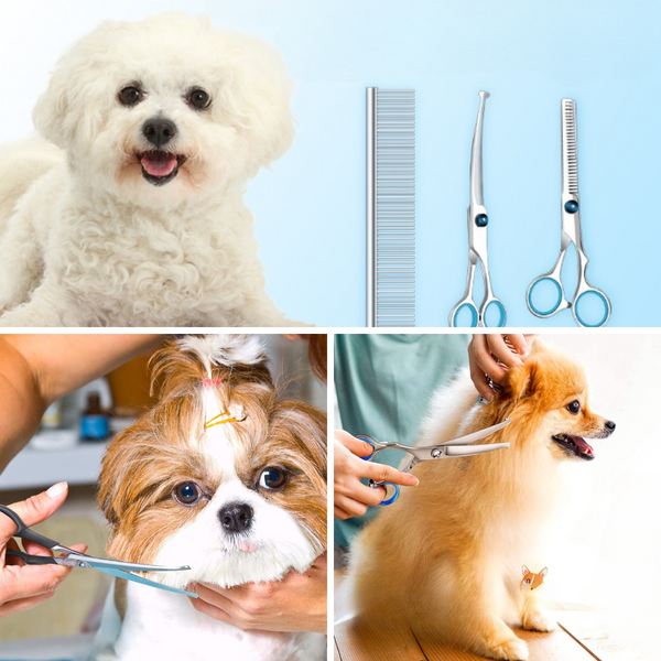 10 Best Dog Grooming Scissors Unleash the Perfect Pup with a Perfect Coat!