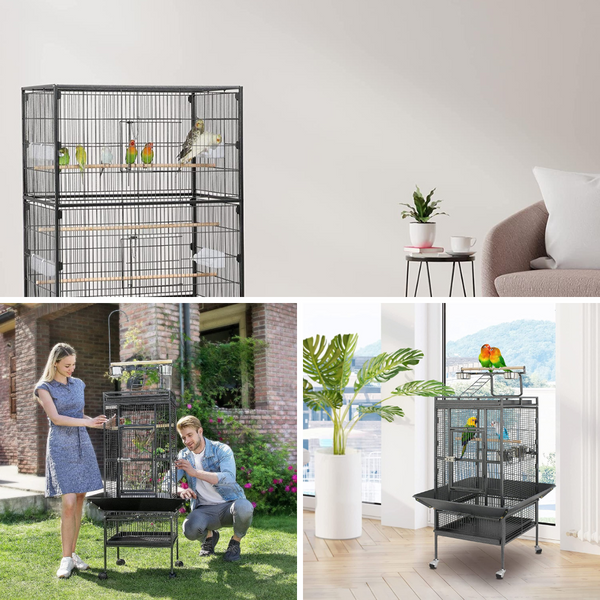 10 Best Bird Cages For Your Feathered Friend