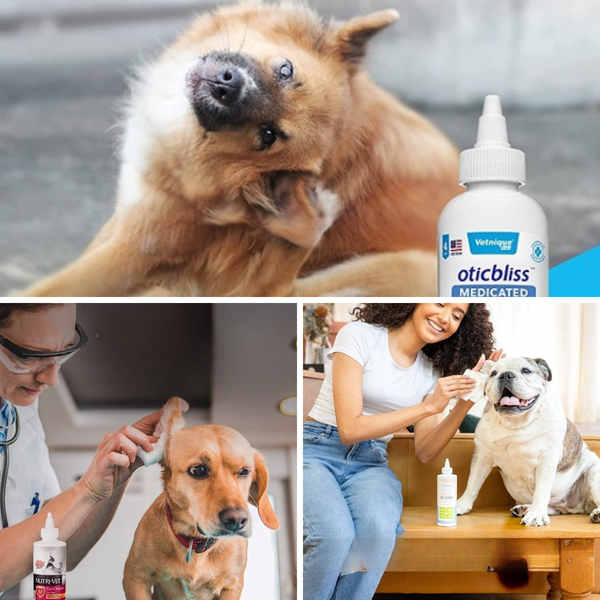 Best Dog Ear Cleaner for Your Furry Friend's Happy and Healthy Ears